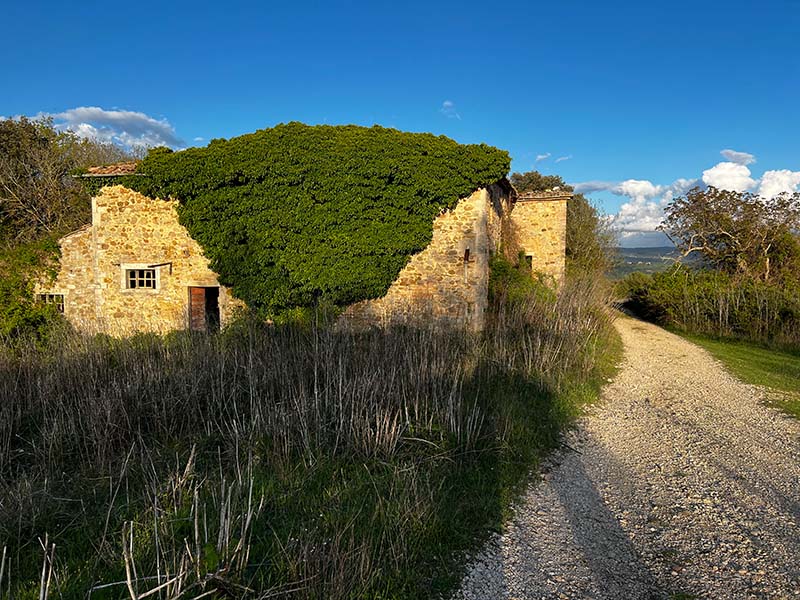 La casa abbandonata nel sentiero per la Roccaccia di Titignano