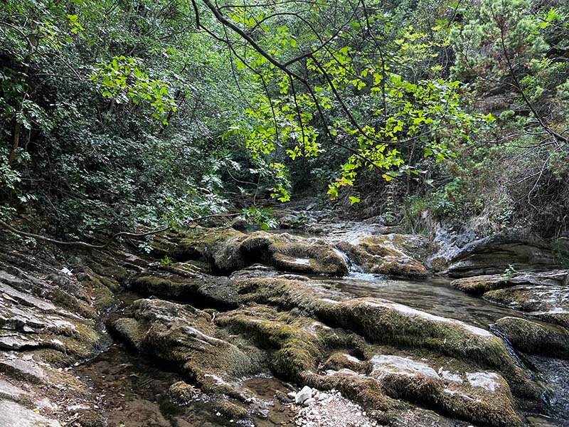 Sentiero sulla cascata a Rio Vitoschio a Piobbico